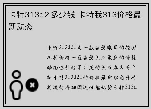 卡特313d2l多少钱 卡特我313价格最新动态